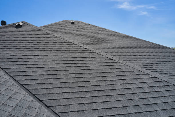 Best Chimney Flashing Repair  in Waukon, IA